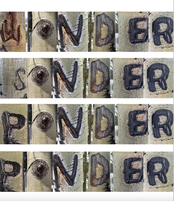 “WONDER SONDER PONDER PONDER” 4’x7’ Digital Print, PHOTOGRAPHED AND COLLAGED FOUND ASPEN CARVINGSIN SUPPORT OF THE OUTDOOR EQUITY GRANT PROGRAM, COLORADO