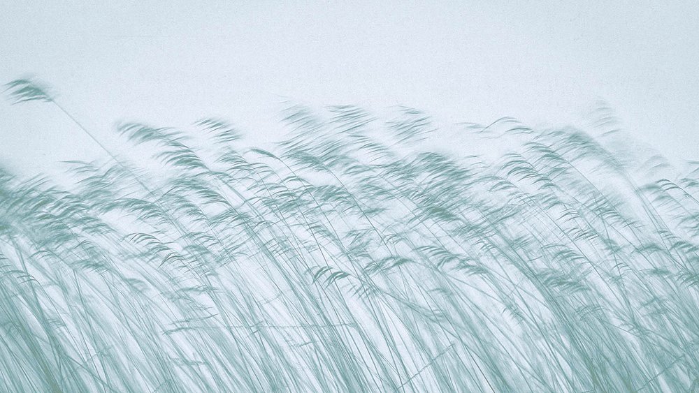 About — Simon Wind