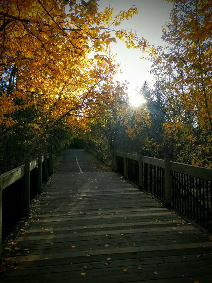 Mill Creek in fall