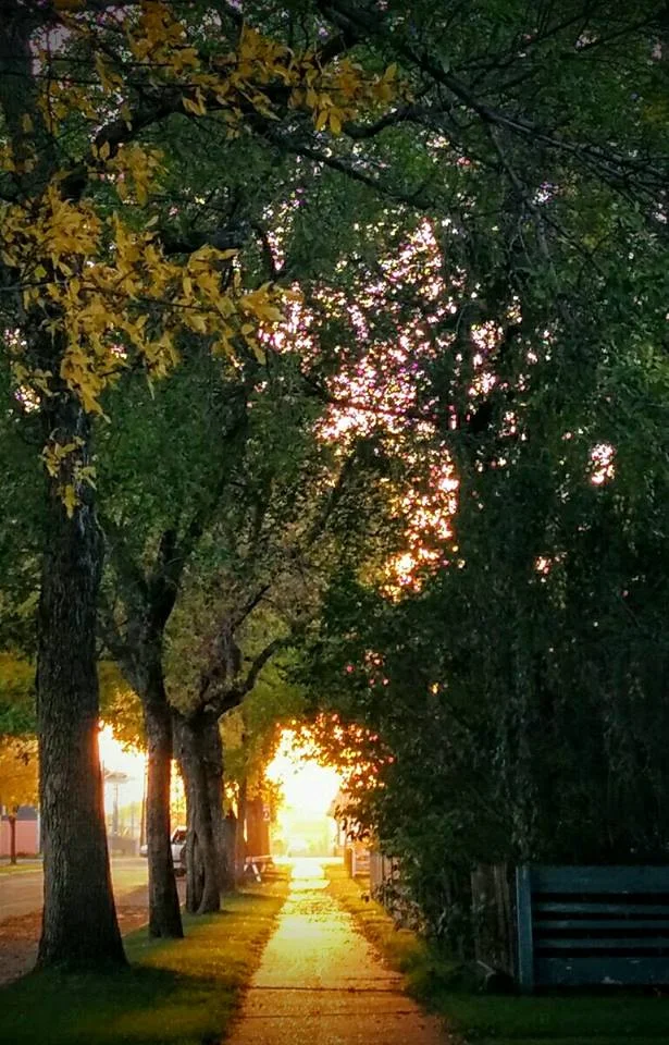 Avenue sunset