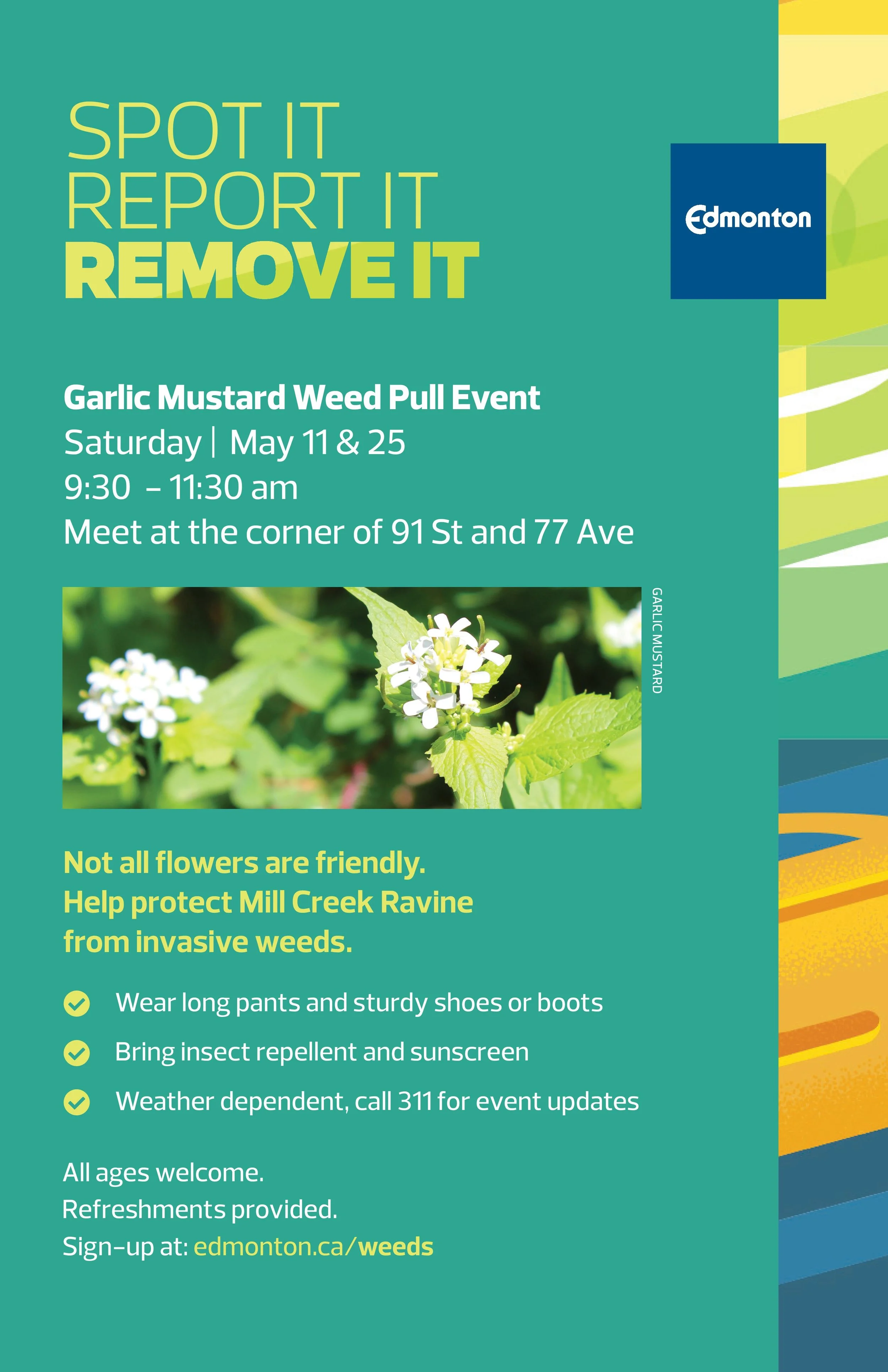 2019 Noxious Weeds MillCreek Poster.jpg