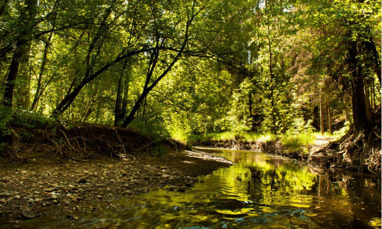 Mill Creek Ravine Erosion Repairs: Traffic and Trail Closures on 76 Avenue