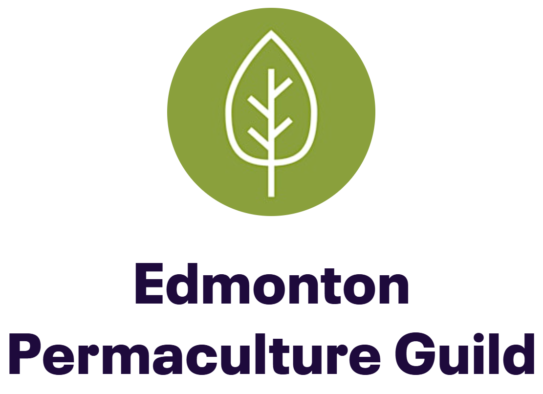 Permaculture 101