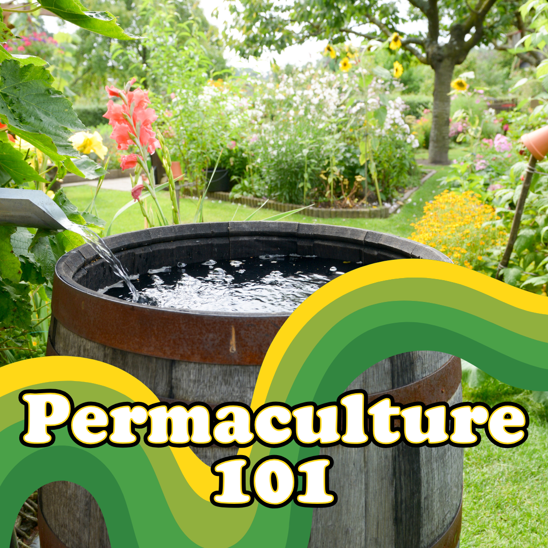 Permaculture 101
