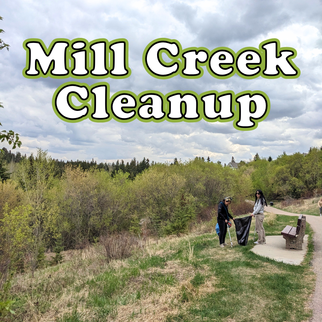 Mill Creek Cleanup