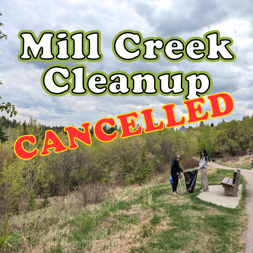 Mill Creek Cleanup - **POSTPONED**