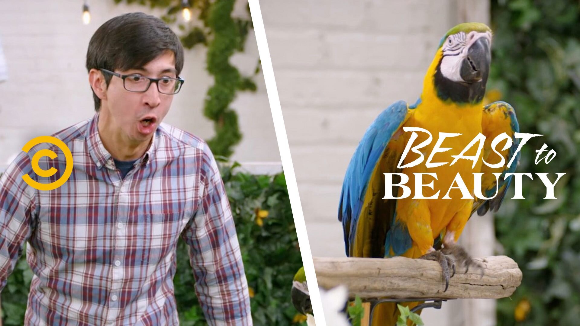 Beast to Beauty: My Parrot, My Parishioner, scripted makeover show parody, Comedy Central, 2019