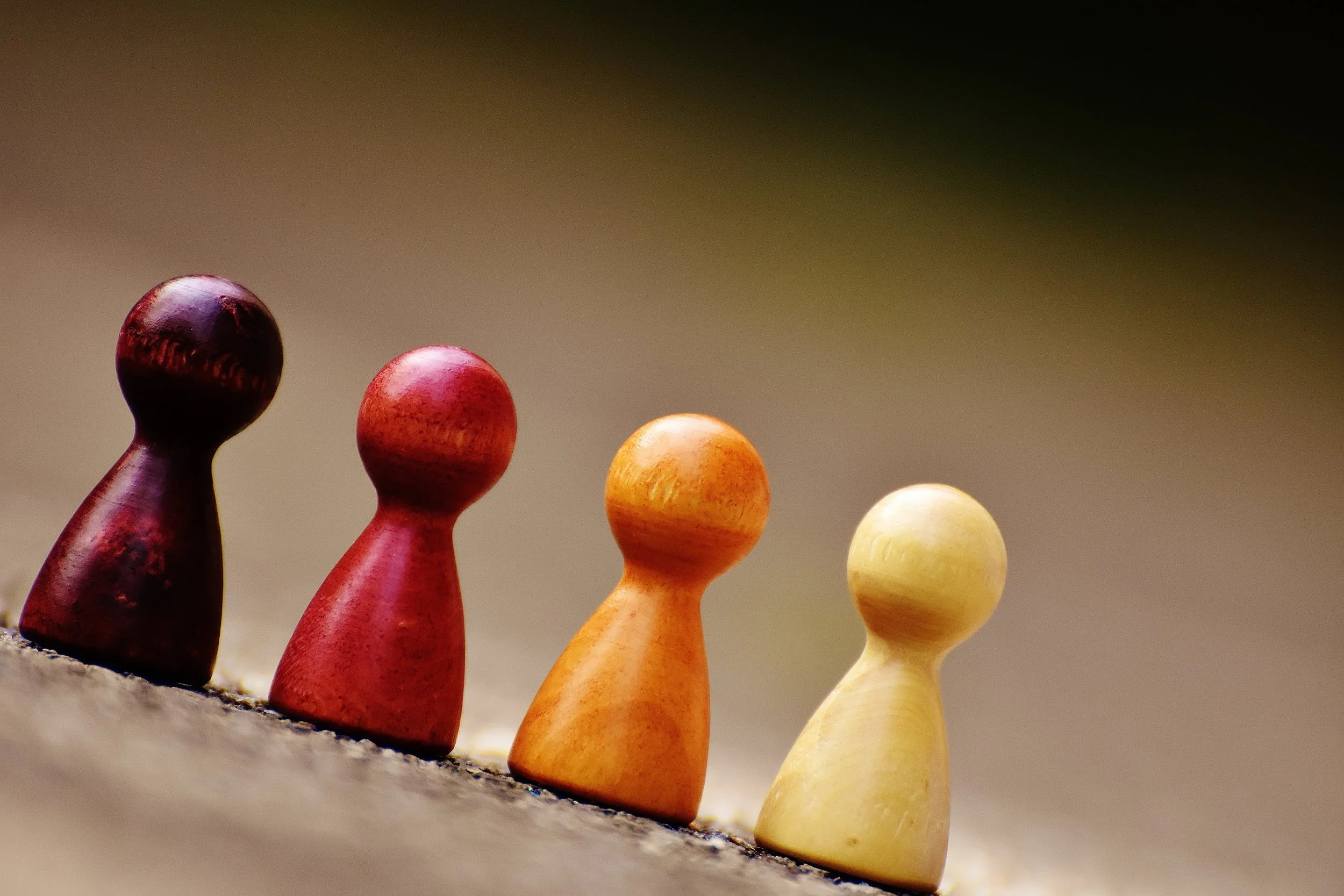 SPOTLIGHT ON INVESTMENT RISK PROFILES