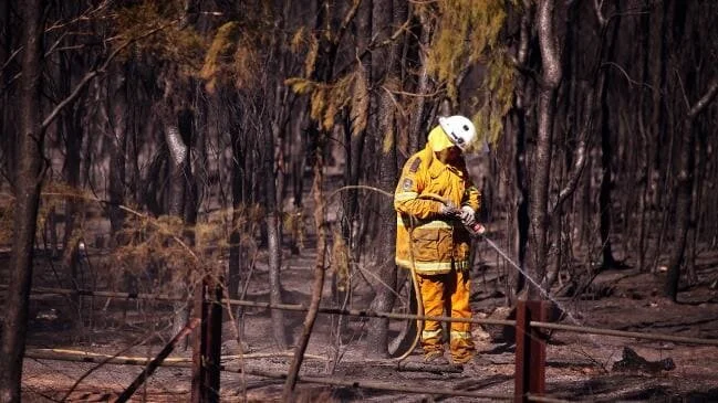 BUSHFIRE DISASTER RECOVERY