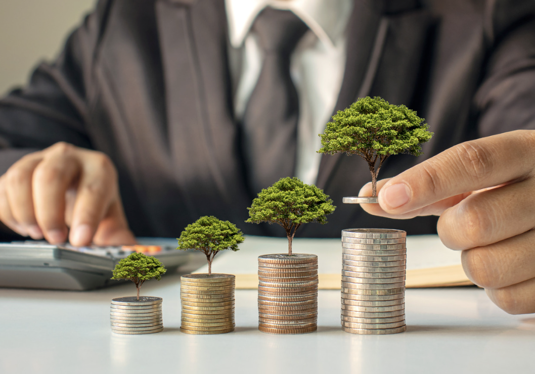 Understanding Investment Options for Growth and Diversification