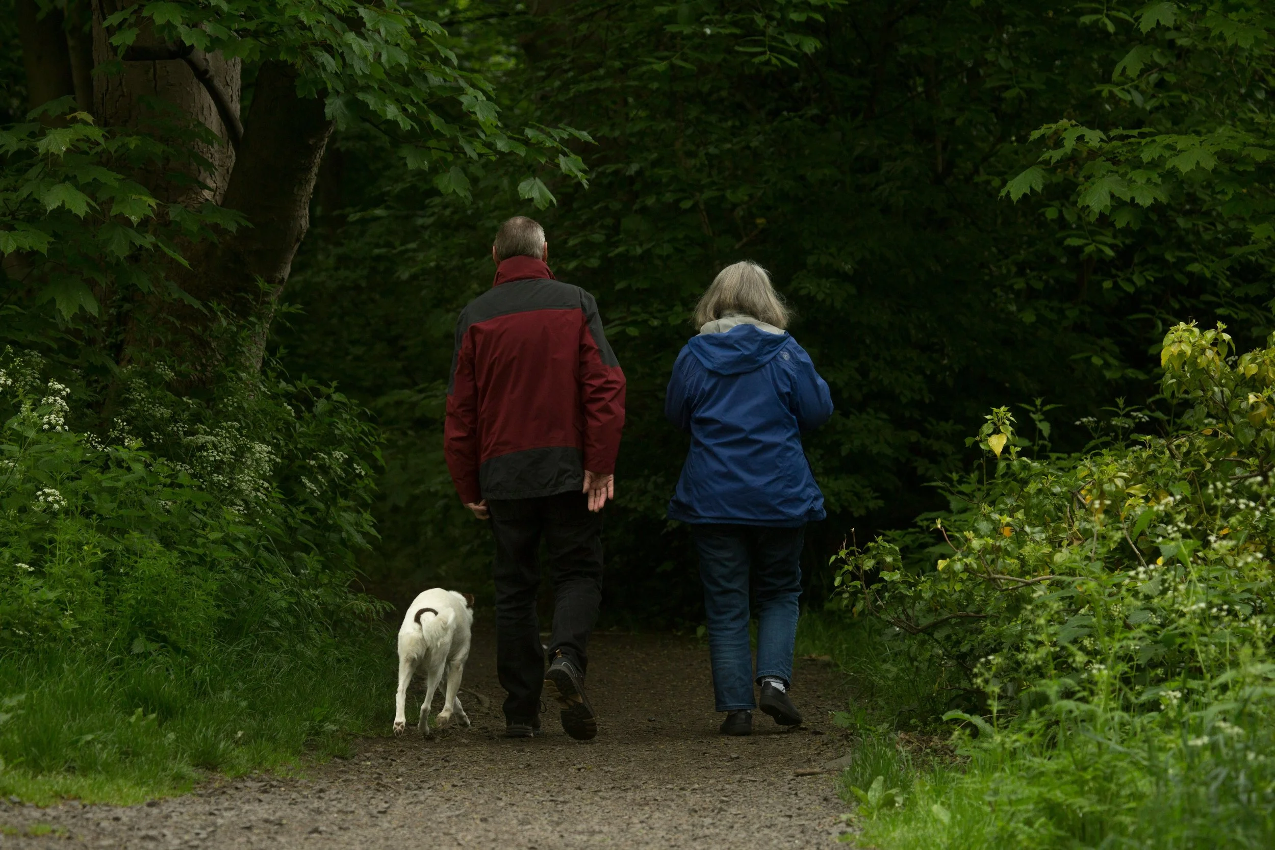 Sequence Risk Explained: Why Timing Matters in Retirement