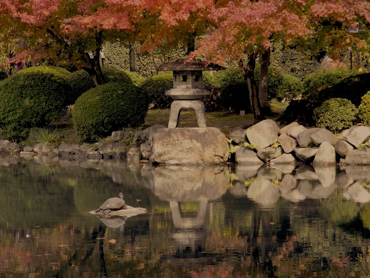 Current State of Teas from Japan