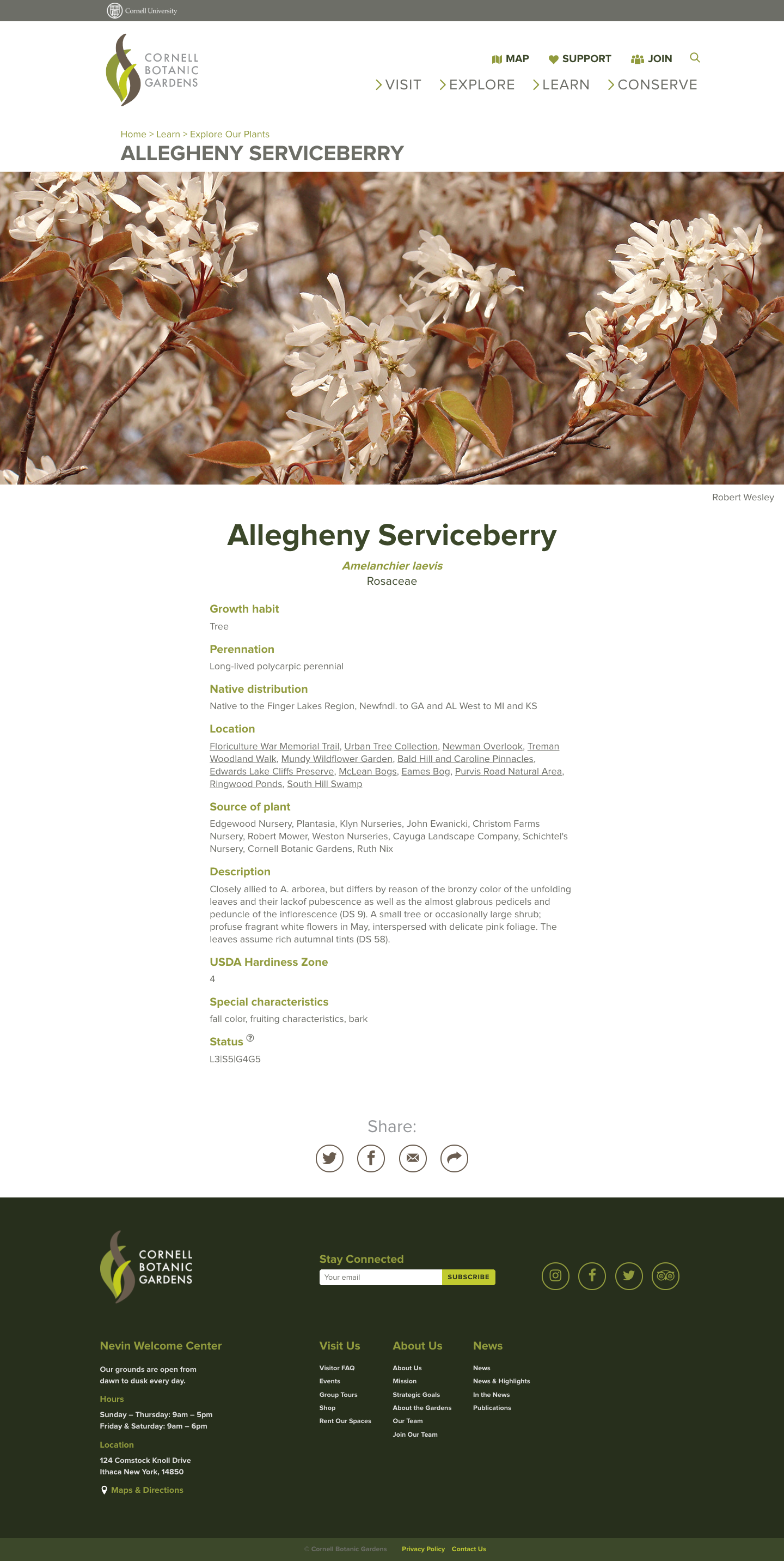 Unique Plant Pages