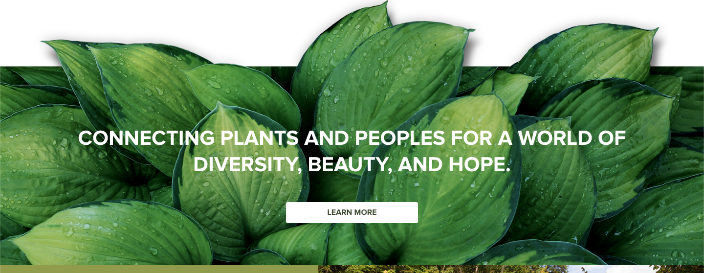 The uncontained plant