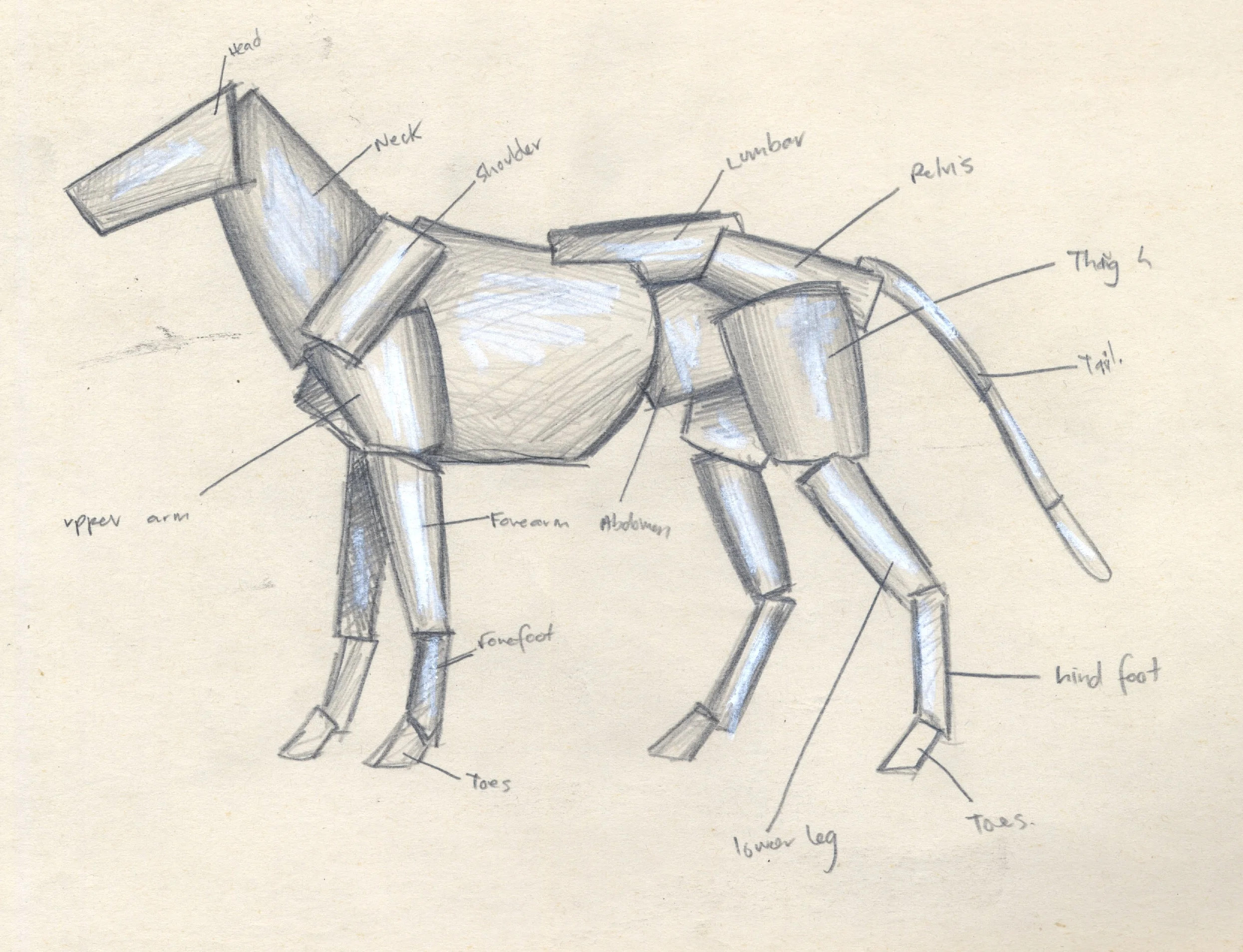 body structure copy.jpg