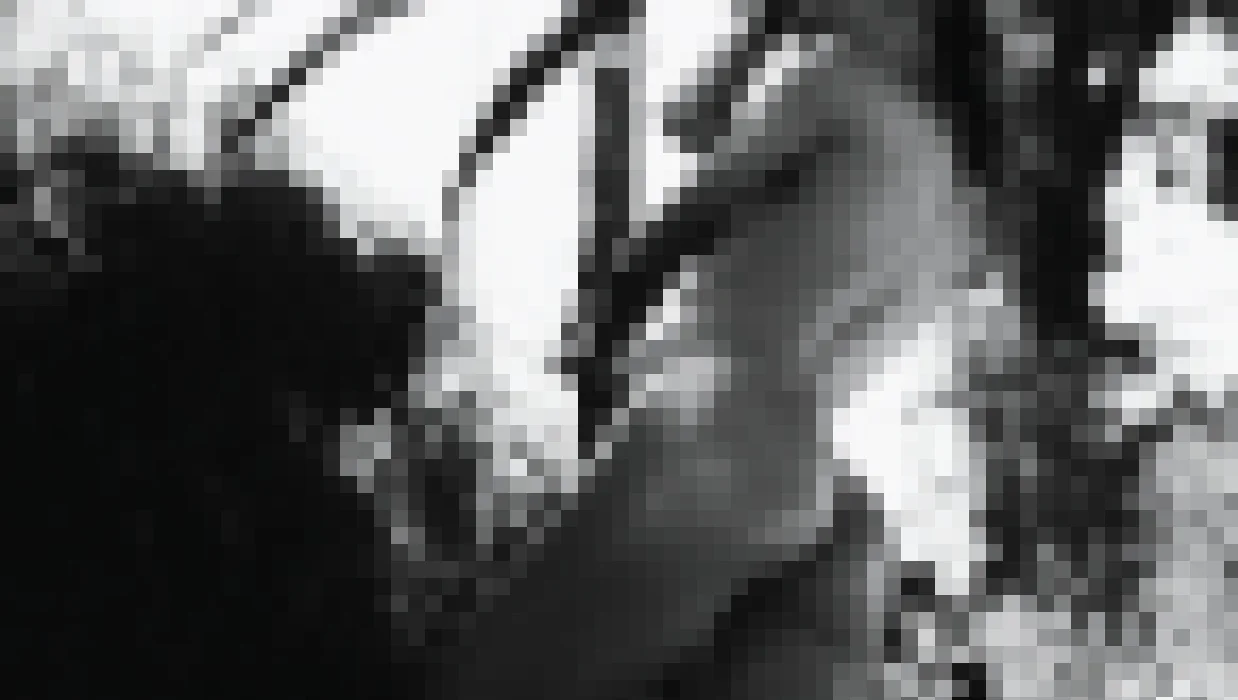 THUMBNAILSDSC03016.jpg