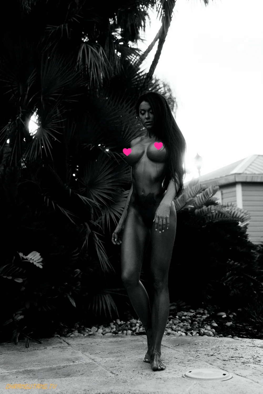 OHRANGUTANG.TV.jpg