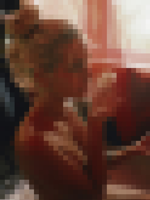 MIA CRISTINA PILO NUDE OHRANGUTANGTV THUMBNAILSIMGP0773.jpg
