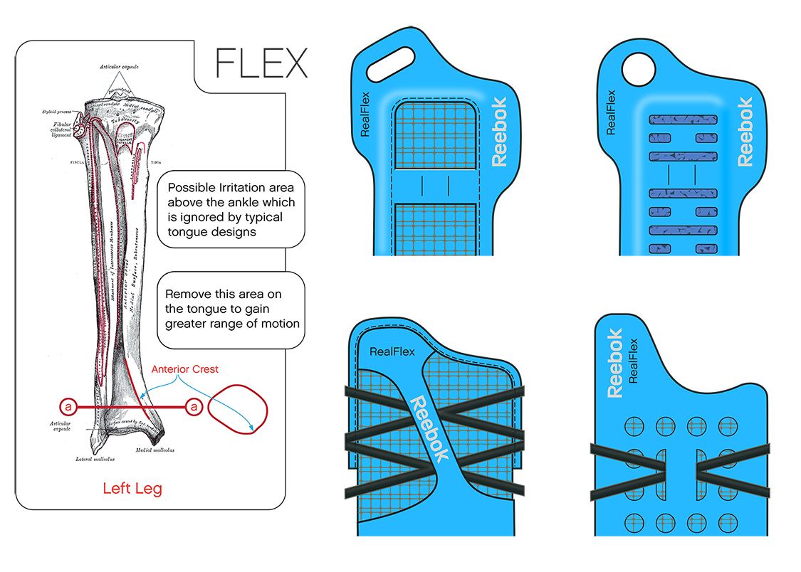 Tongue explorations around anatomical ankle shape taking into account the Anterior Crest. 