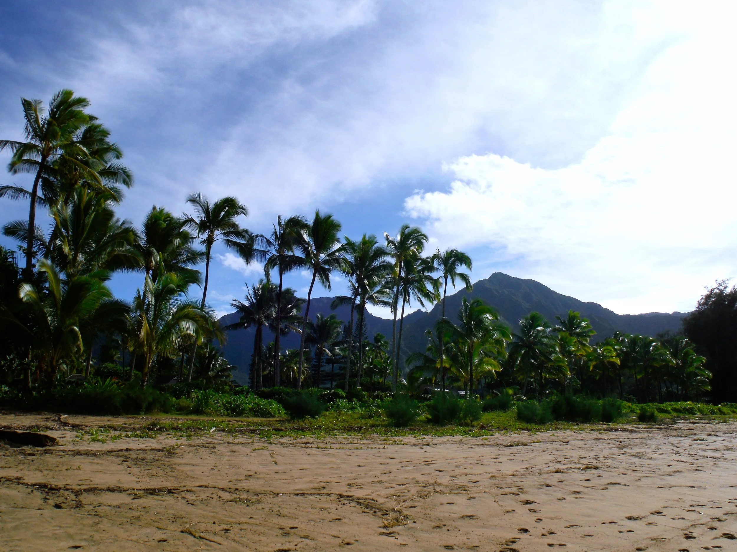 Hanalei, Kauai.JPG