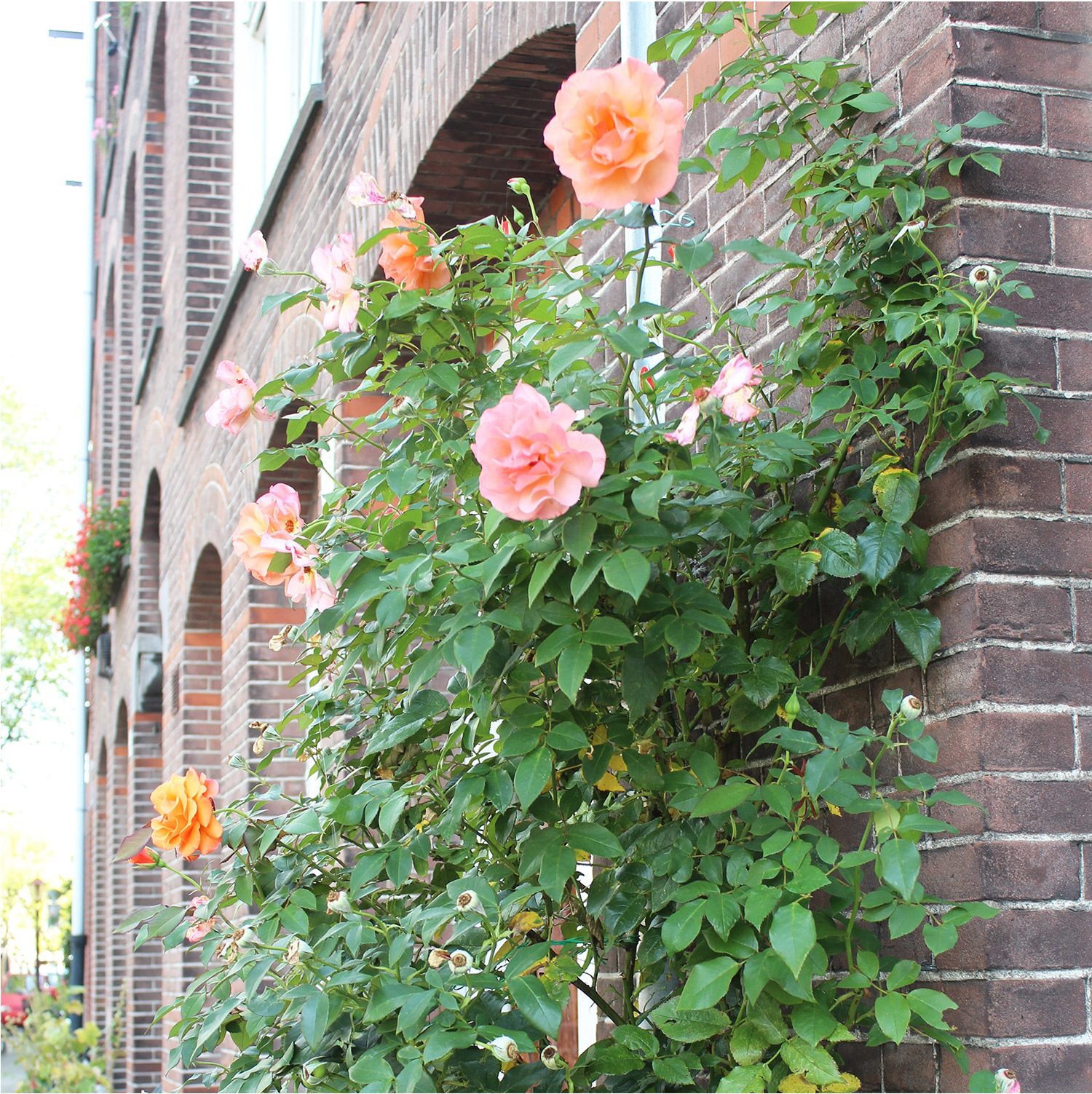 amsterdam-part-2-5.jpg