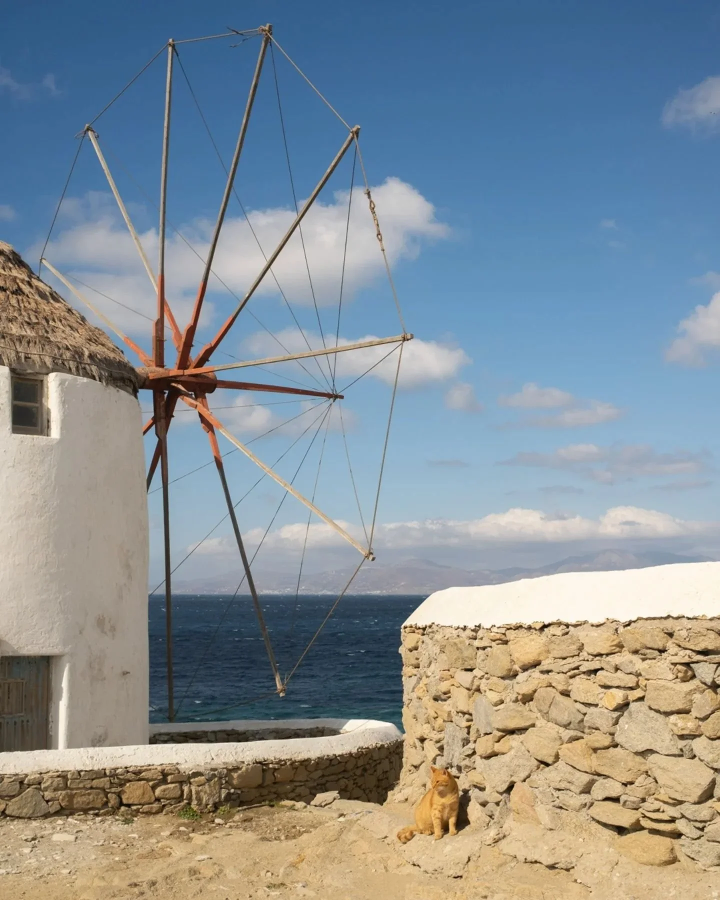 Wind and the sea. 🌀