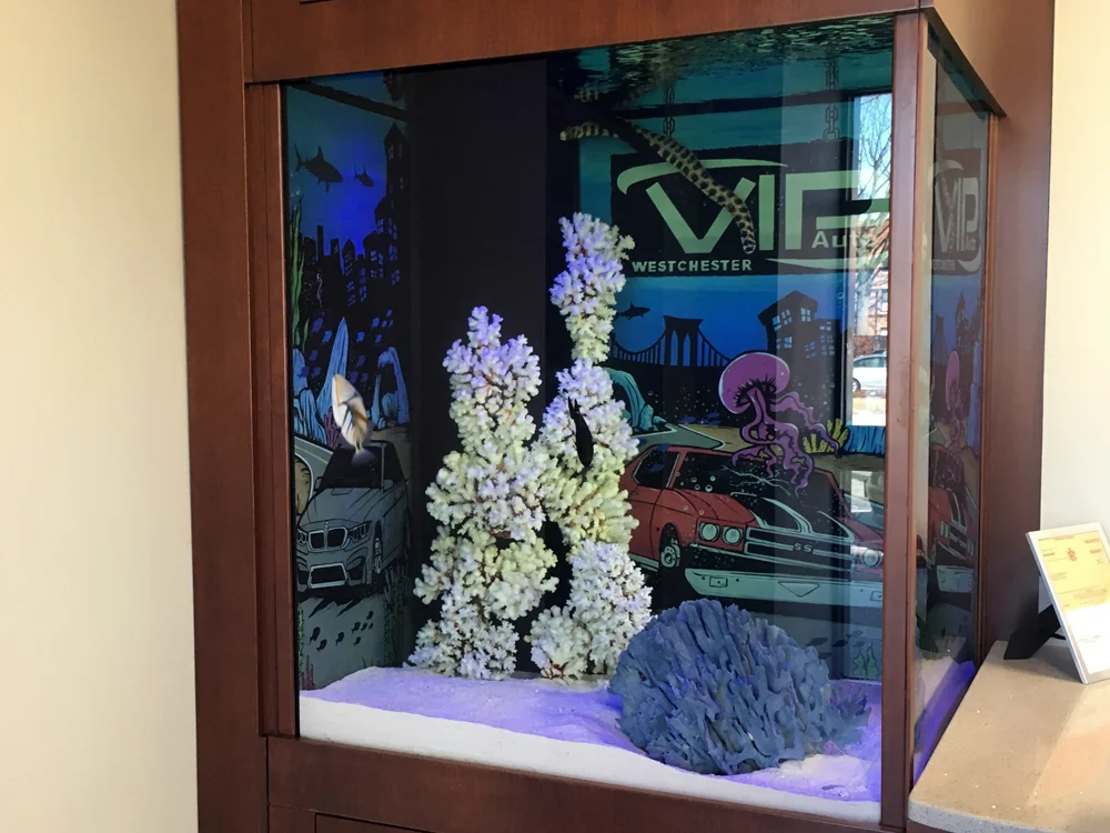 5.fish tank.jpg