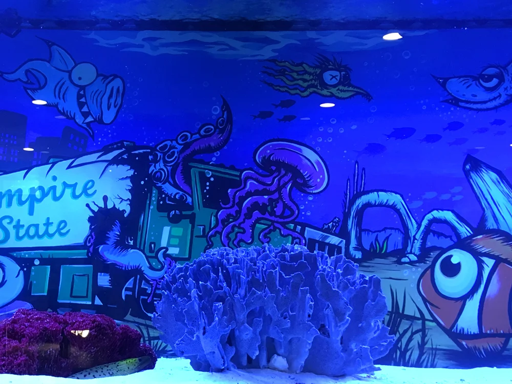 9.fish tank.jpg