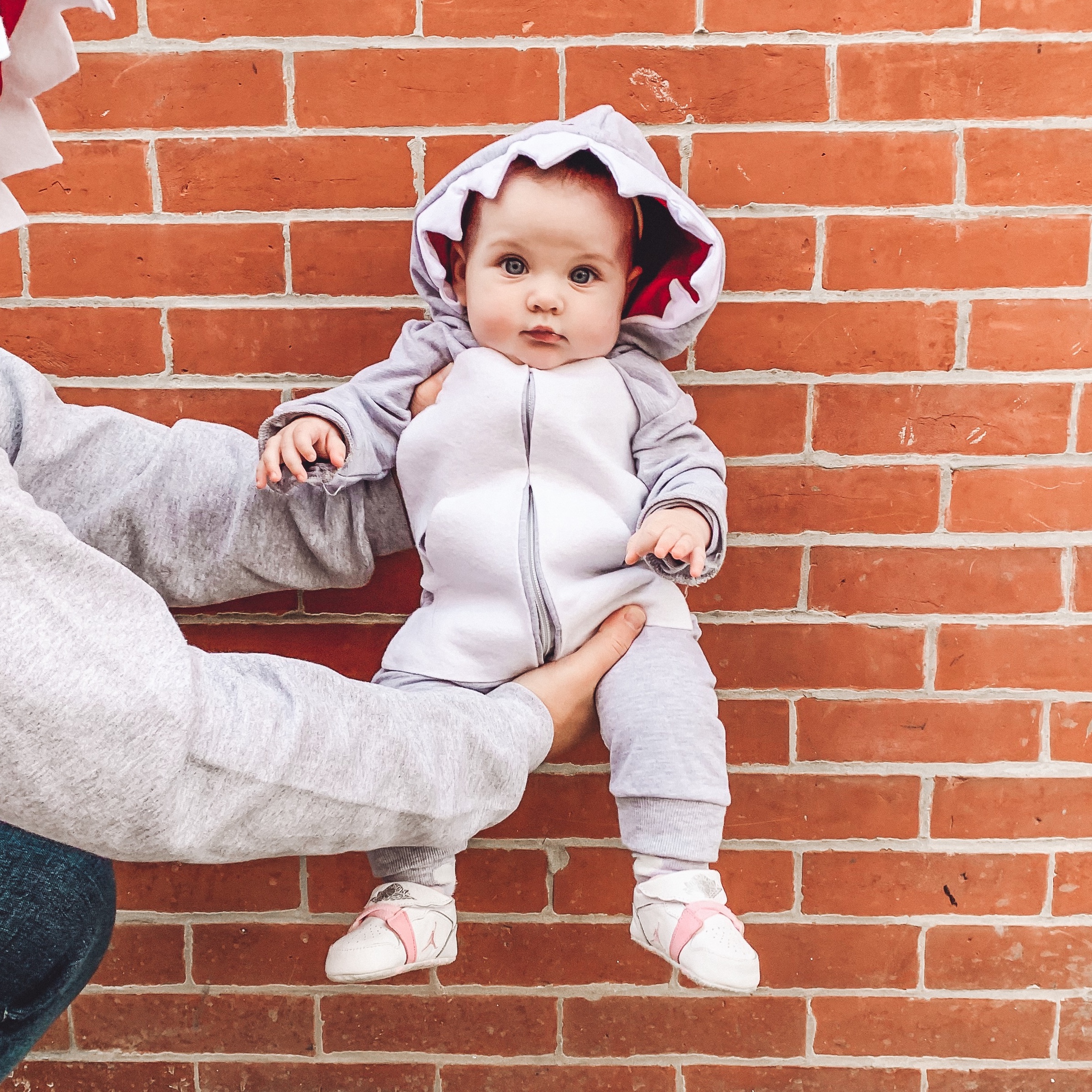 Purim 2019: DIY Baby Shark Family Costume — ariel loves