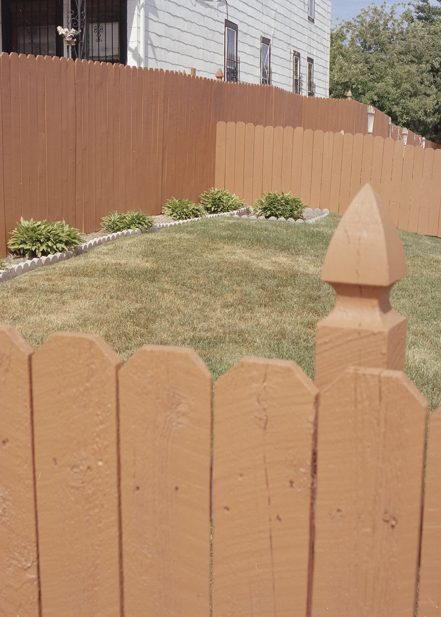 fences 001.jpg
