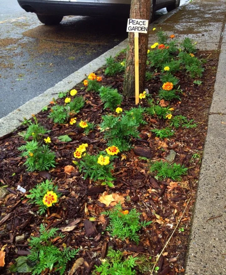 Calendar — Ashmont Nursery School