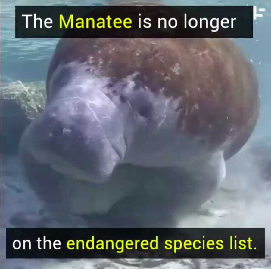 Except you did. Because you're here!