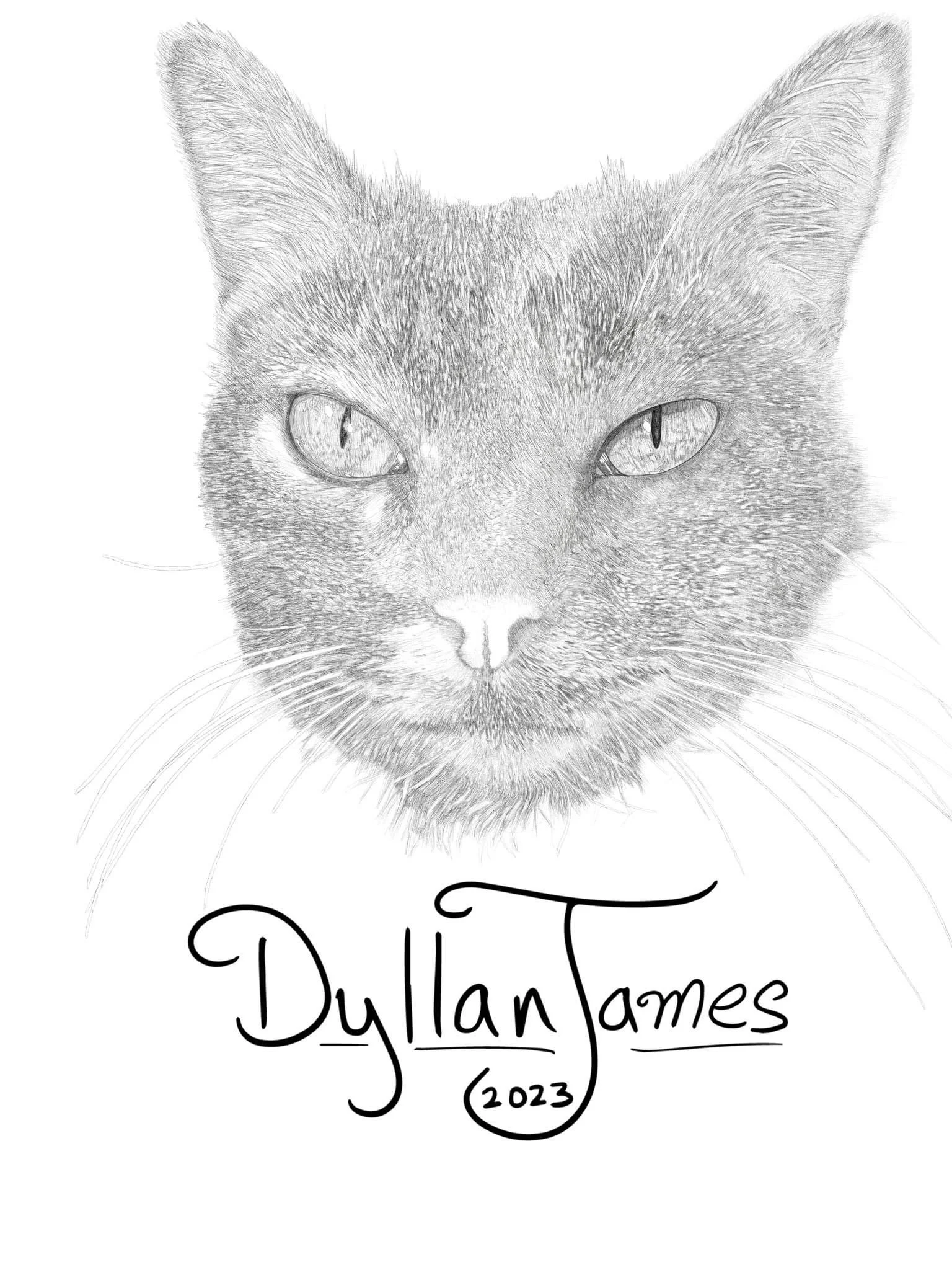 The Emptiness is Just a Lesson in Canvases