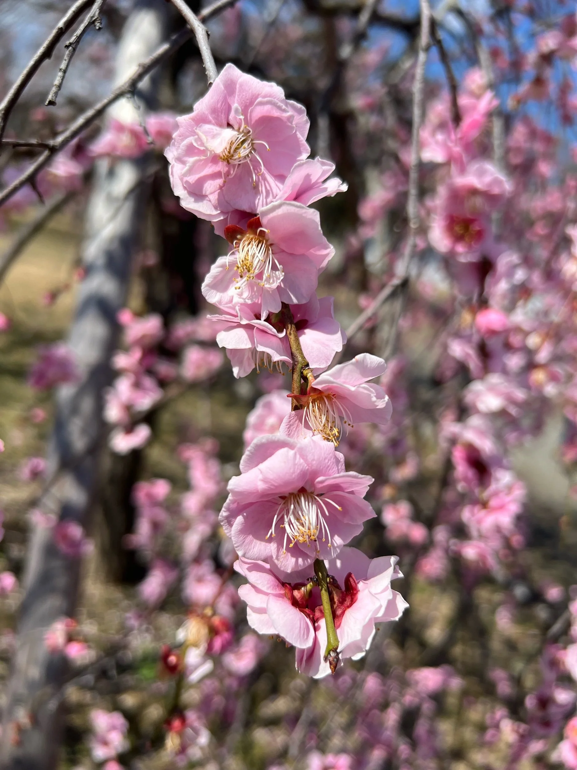 I Will Wait For You At The Bottom