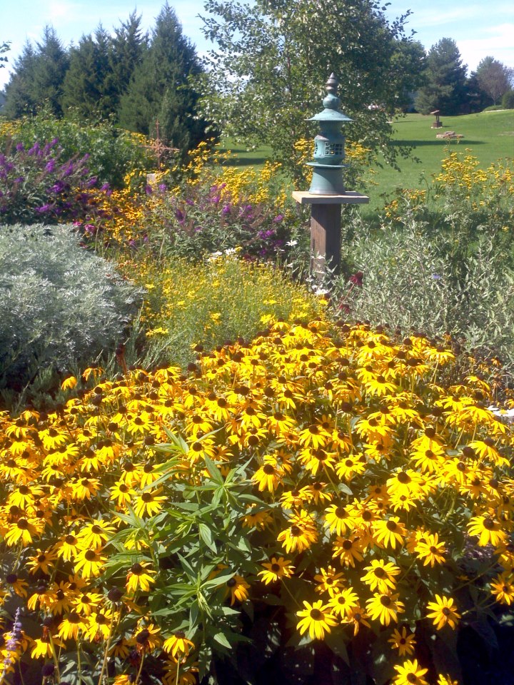 Lantern in the Garden