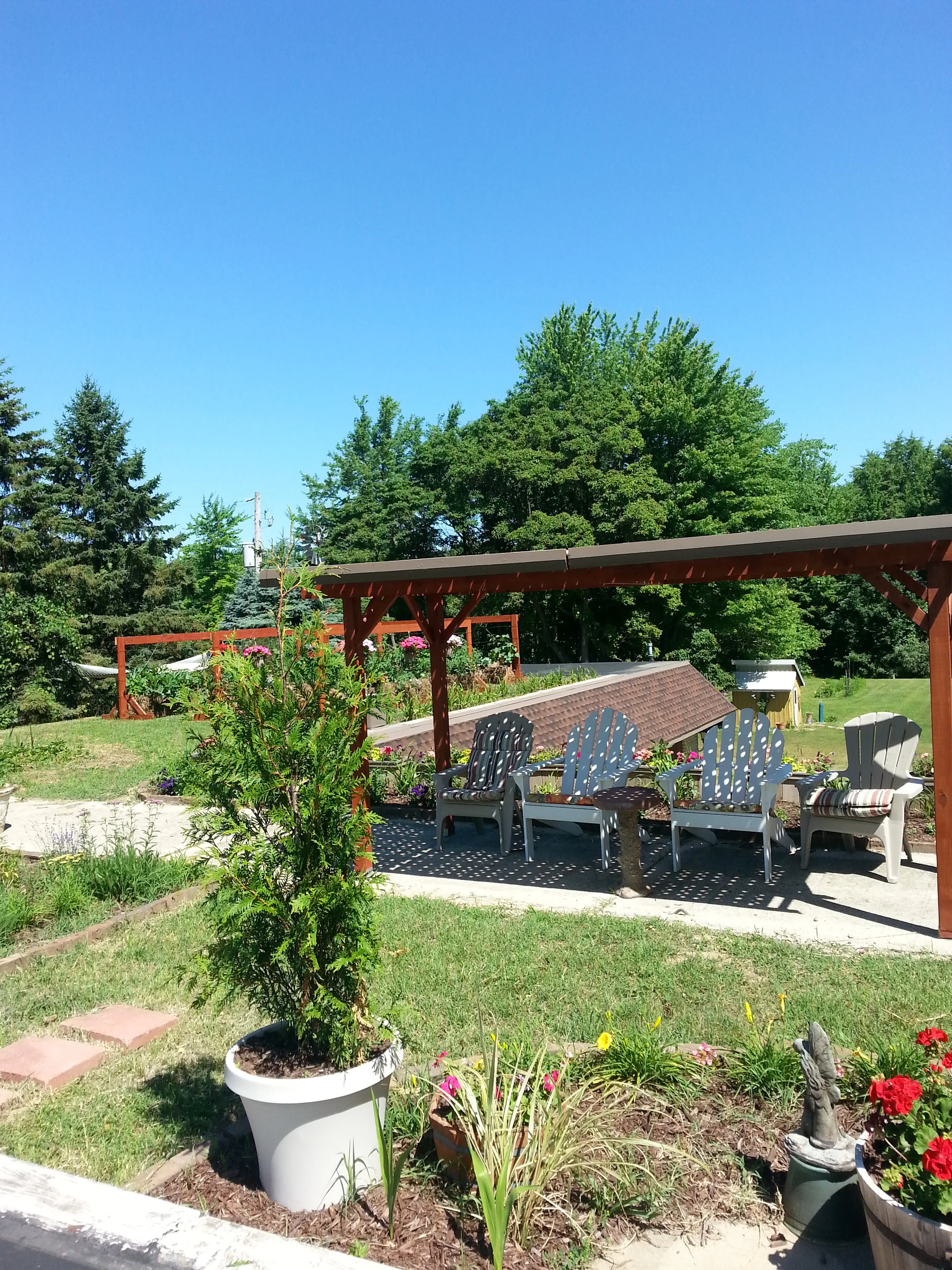 20160627_115205.jpg