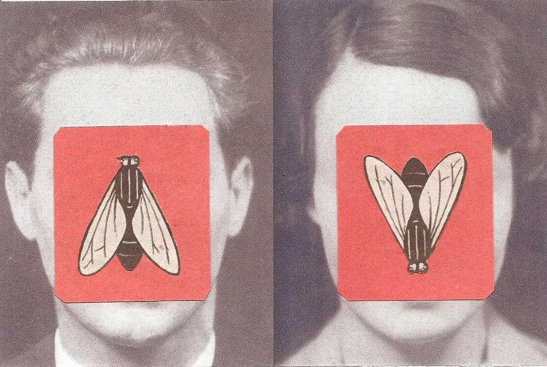 They Began to Look.jpg