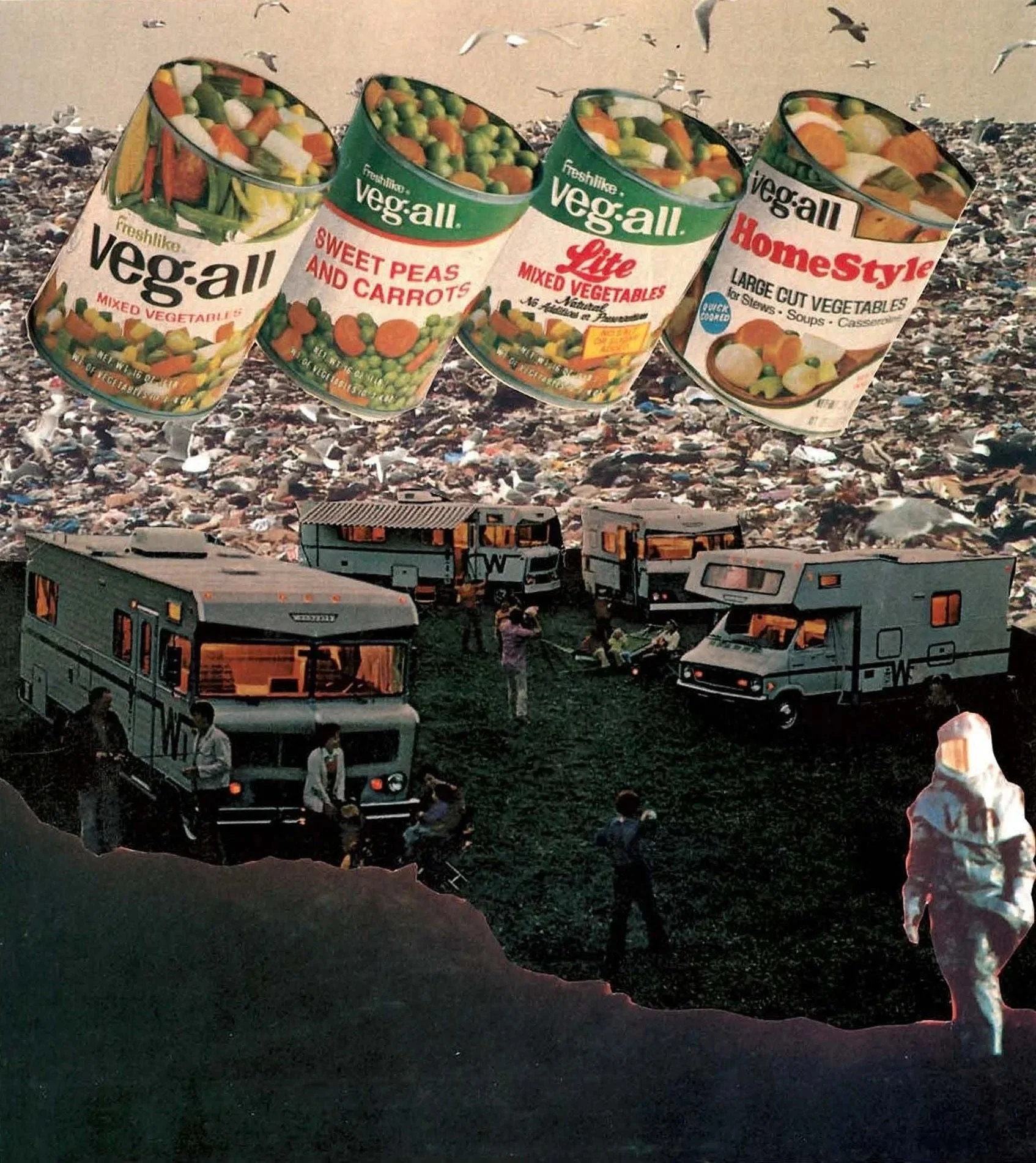 image-asset.jpg