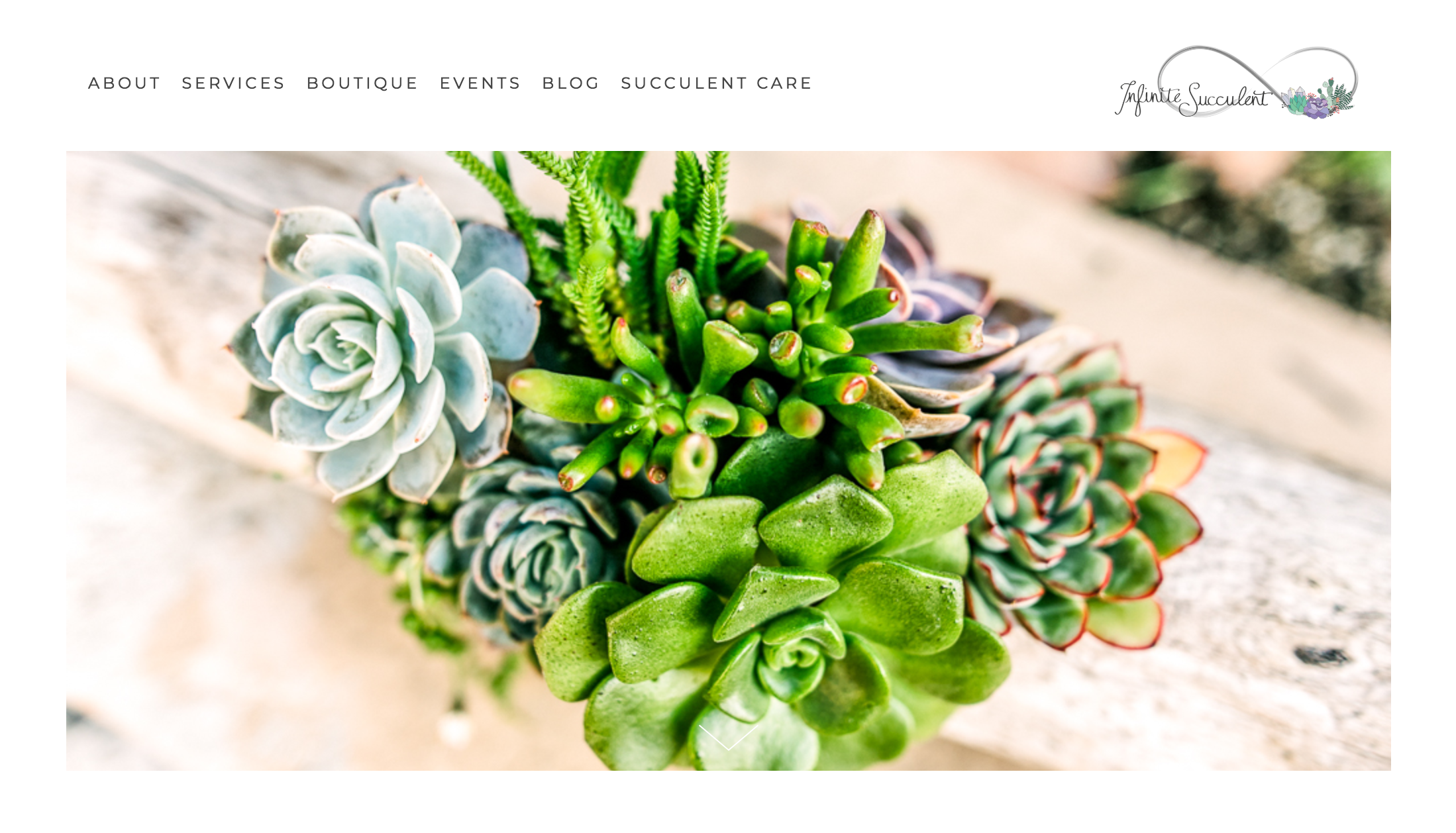 screenshot-www.infinitesucculent.com-2018.12.12-14-52-12.png