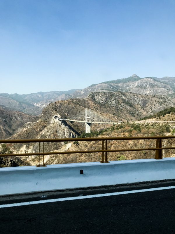 012019_strandedonland_lessonsfromlifeontheroad_gabaccia_chihuahua__5.jpg
