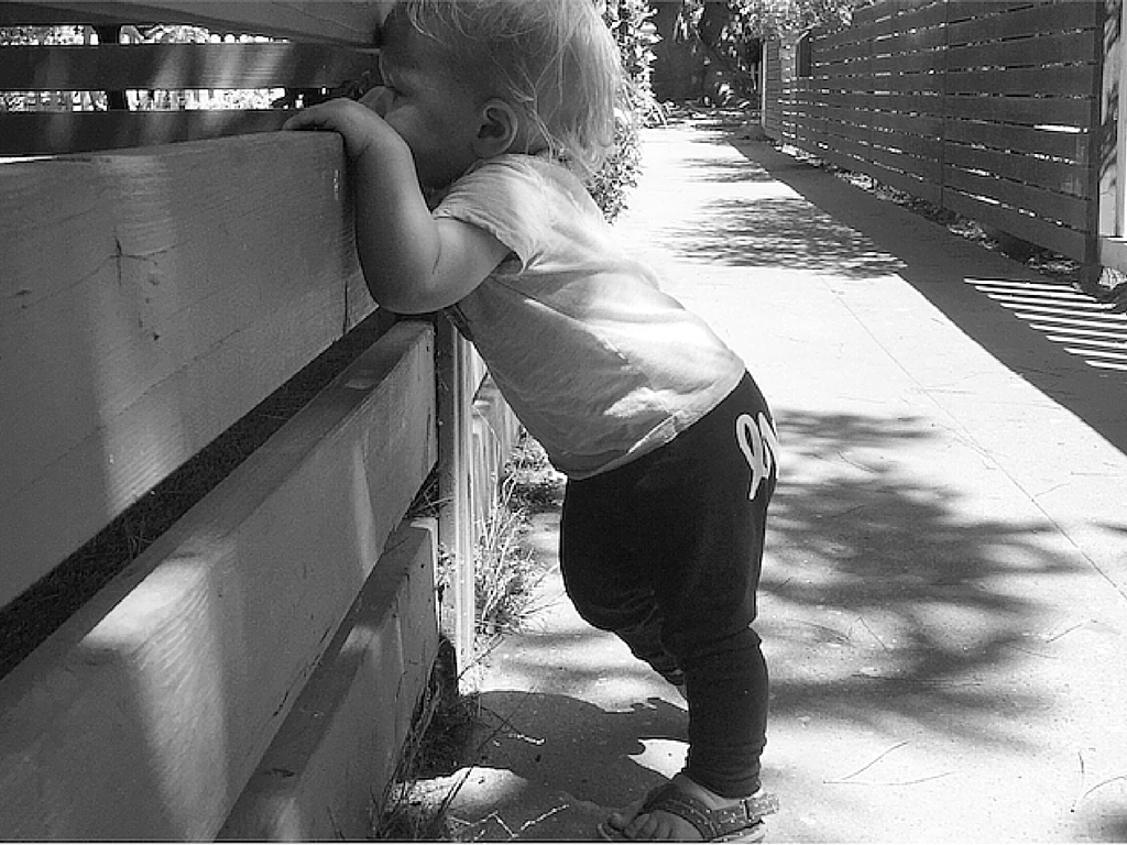 photo courtesy of Lindsay Meggers