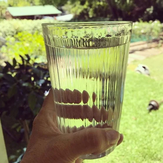 Month 1: Drinking only tap water