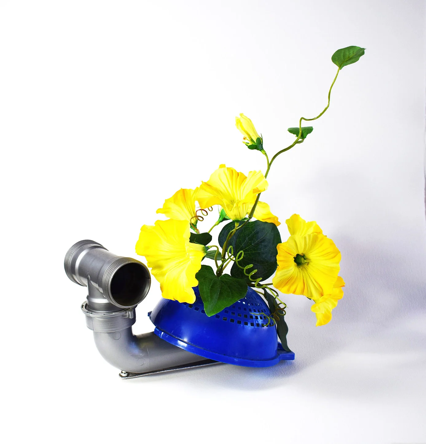Giardino mobile, 2017, oggetti assemblati, 35x25x28 cm