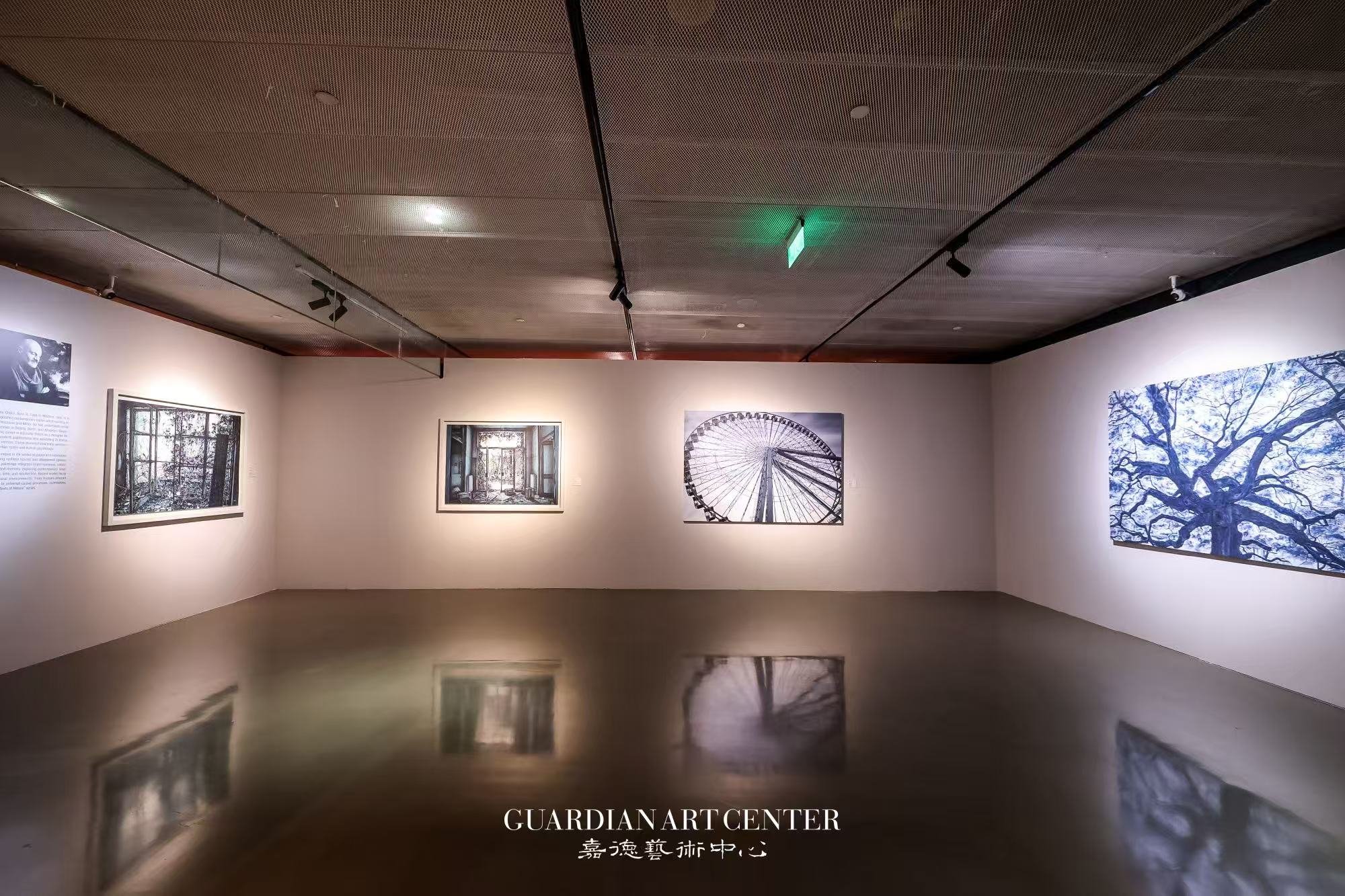 opere di andrea Chiesi.jpg