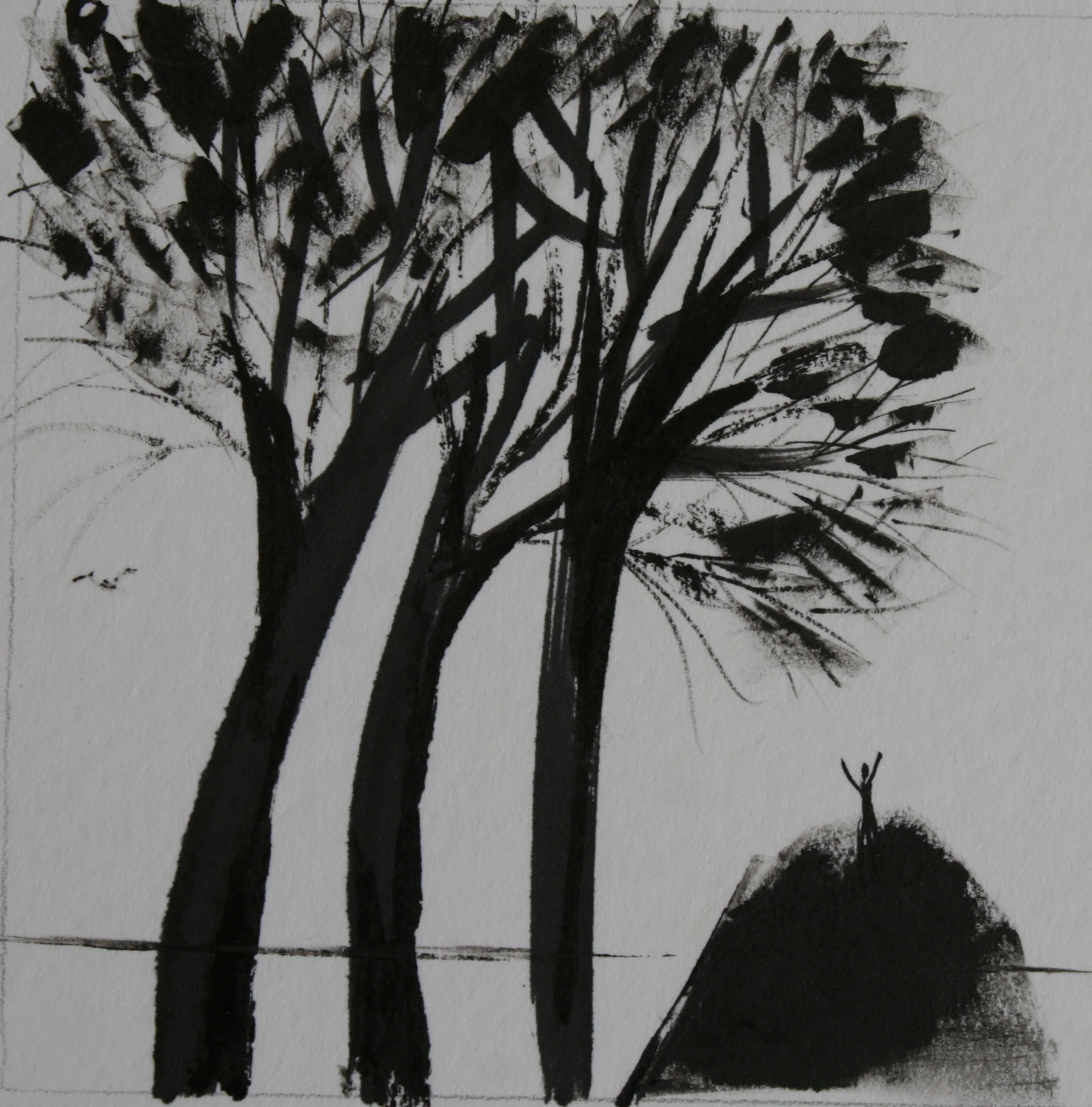 Summer trees - 100mm x 100mm, black ink on card. Done for the upcoming 100 x 100 = 100 exhibition at The Turner Centre opening end of march 2017 