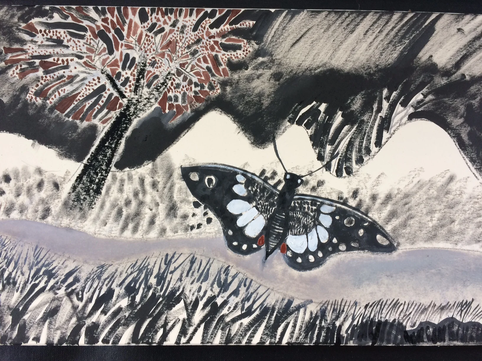 shan's butterfly_5080.jpg