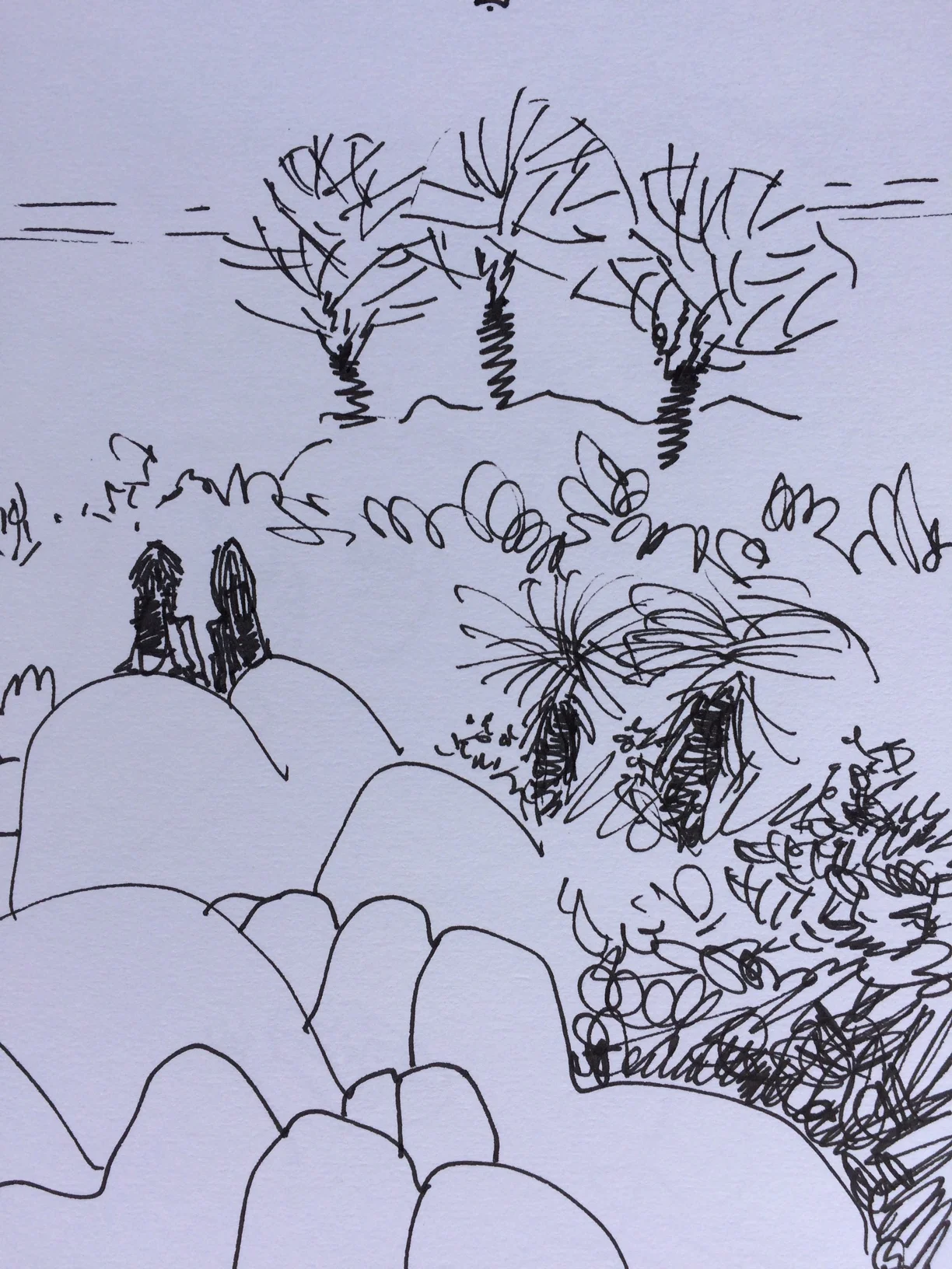 sketches 1.jpg