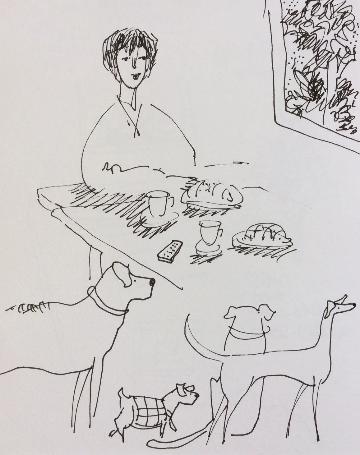sa sketch3.jpg