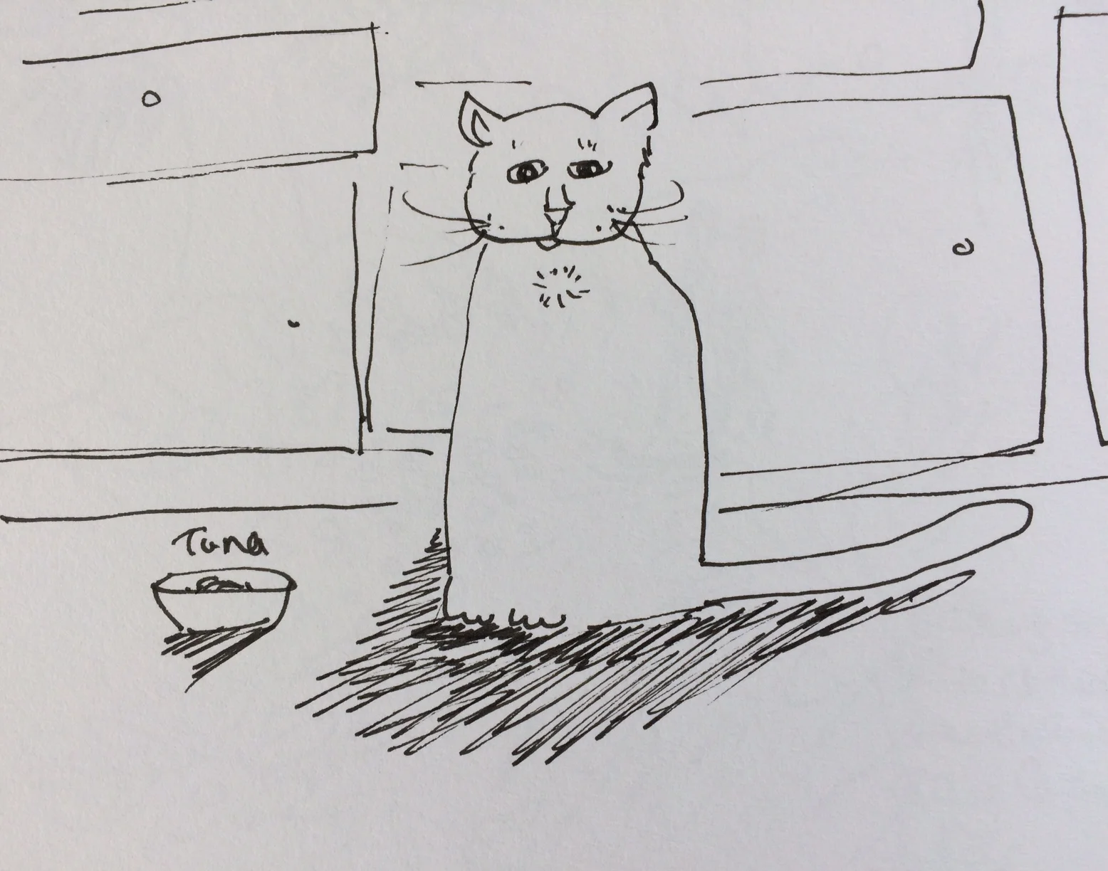 sa sketch4.jpg