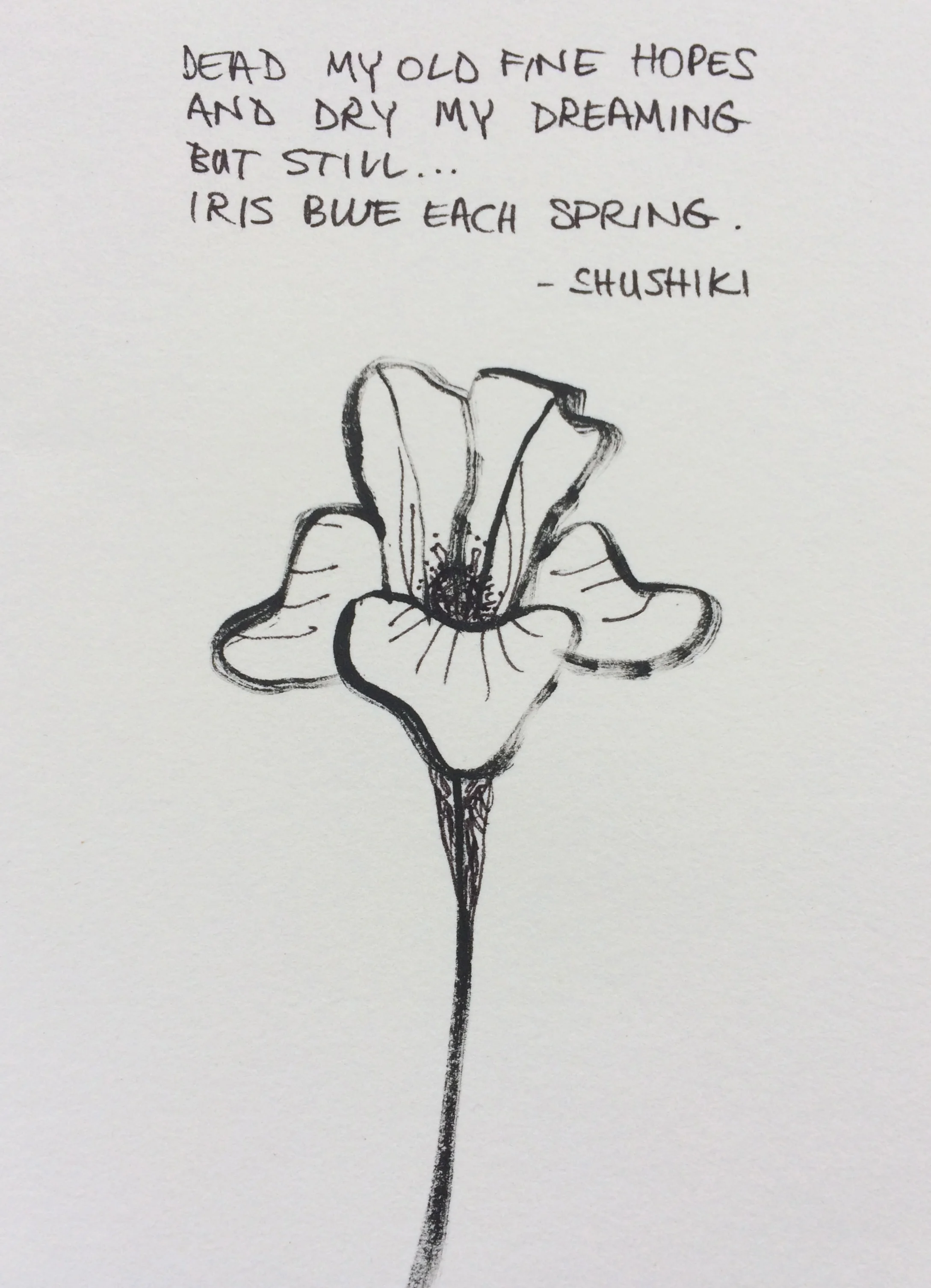 card iris.jpg